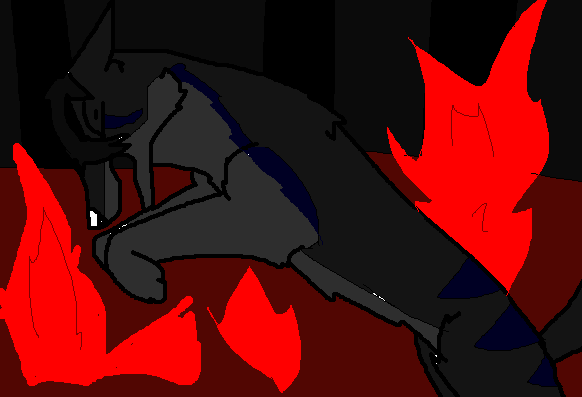 Forest Fire