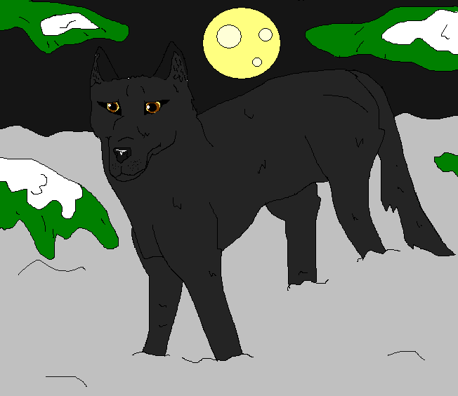 Black As Shadows