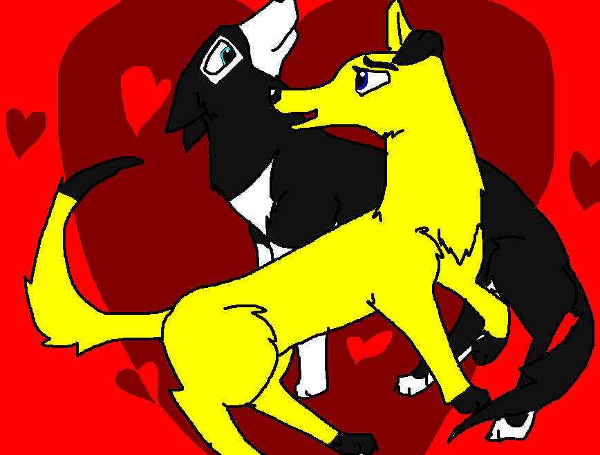 Happy Valentine's day Street dog !!!!!!!!!!