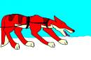 Kolton after a hard race