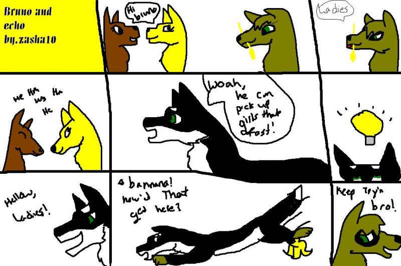 echo and bruno comic