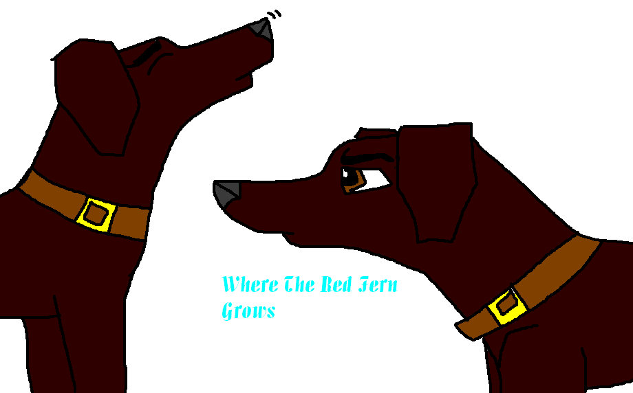 Where The Red Fern Grows