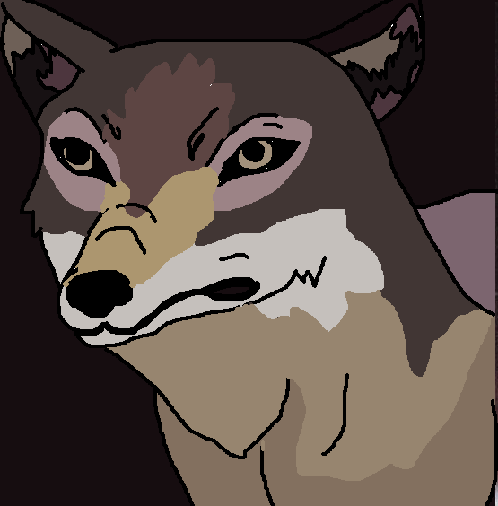 Wolf's rain style