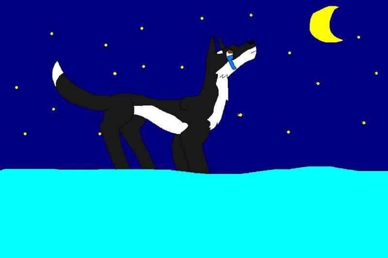Zasha is looking at the moon