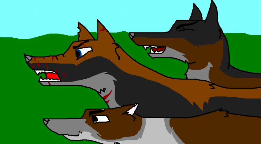 The Wolves