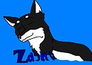 ZASHA ANIMATION