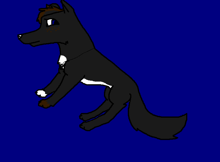Zappy