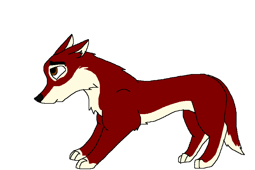 Torn Pup