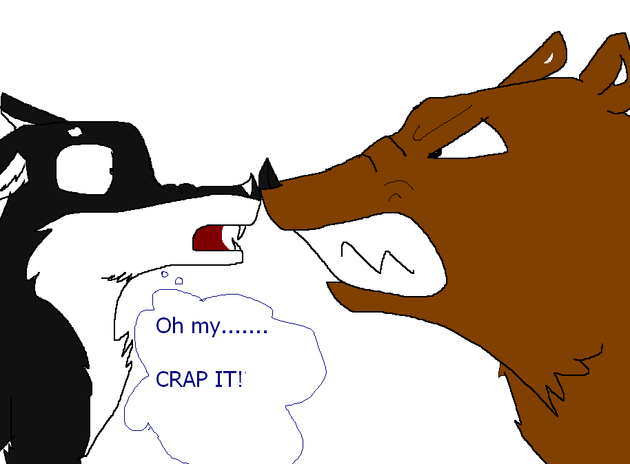 Bear