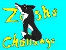 Zasha Challange