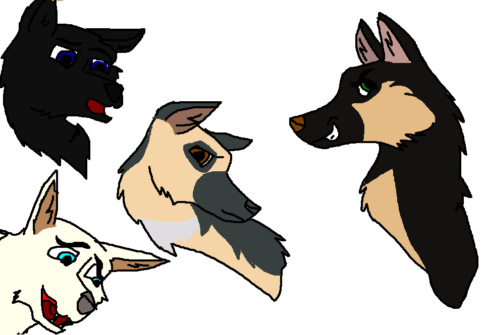 German Shepherd Pack