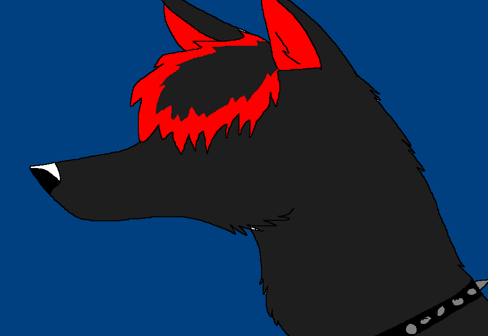 Spike Collar