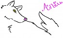 Aniu The White Wolf