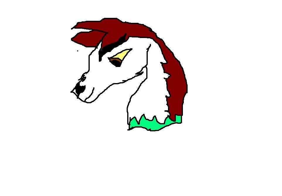 Dingo