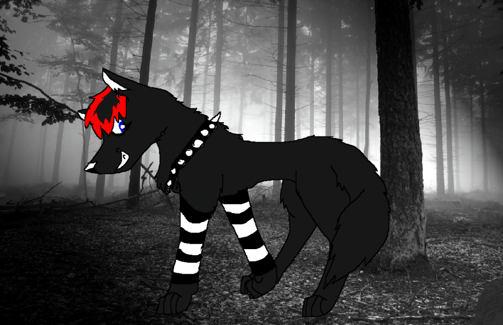 Zappy's Forest
