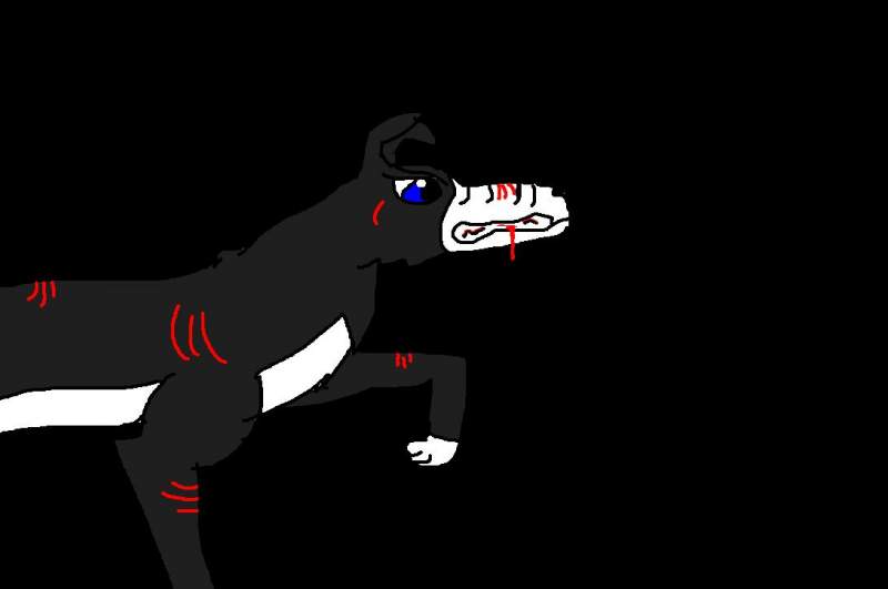 Briget after a fight