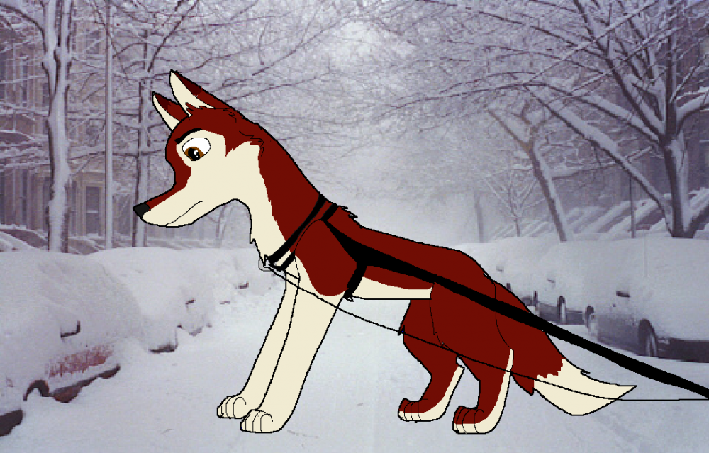 Dakota In Snow