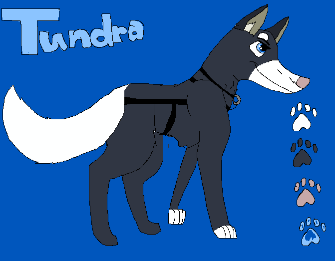 Tundra