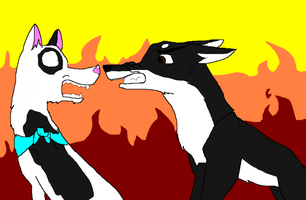ZASHA KILL U