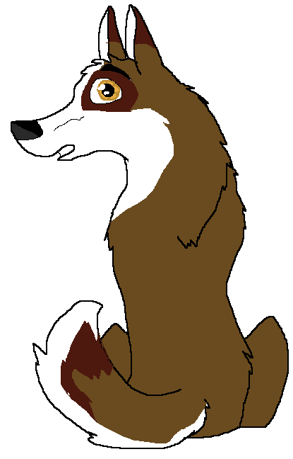 Renn