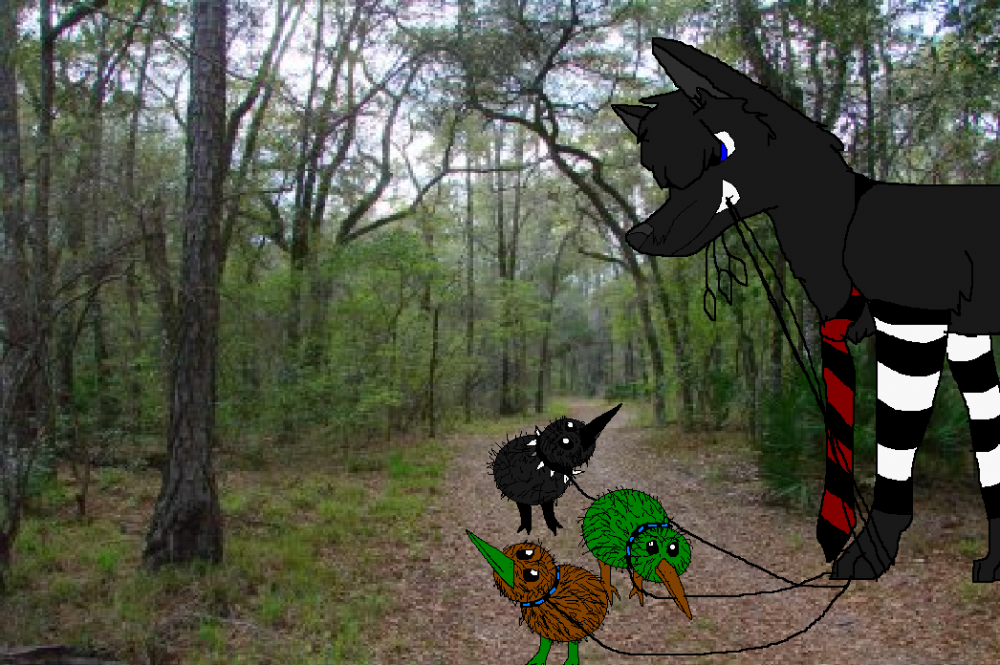 Zappy's Kiwi Walking Servis