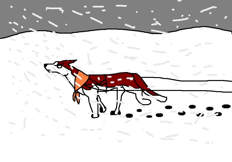 Blizard