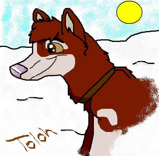 Toloh Snow