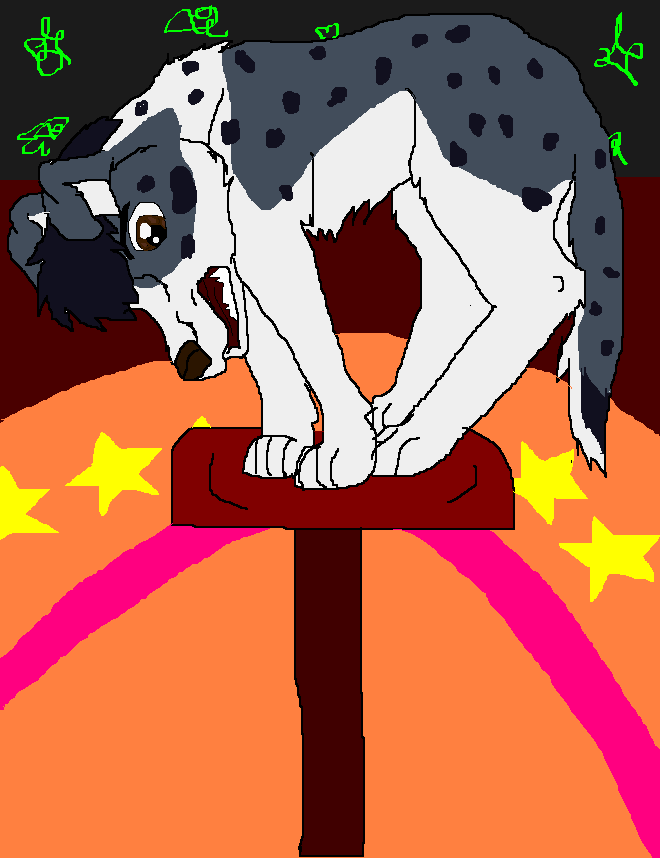 The Show Dog