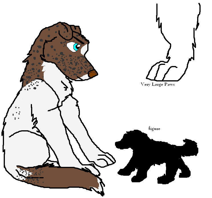 Big Brown