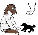 Big Brown