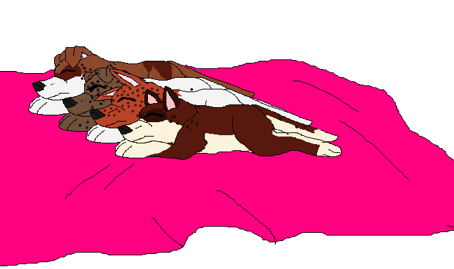 Puppeh Luv <3