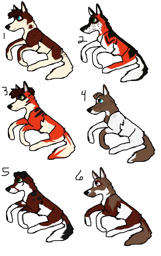 Puppy Luv <3 Winners