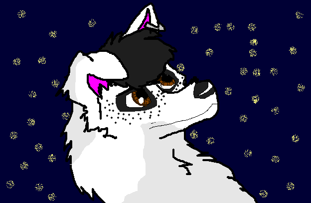 Is this what the wild stars look like?