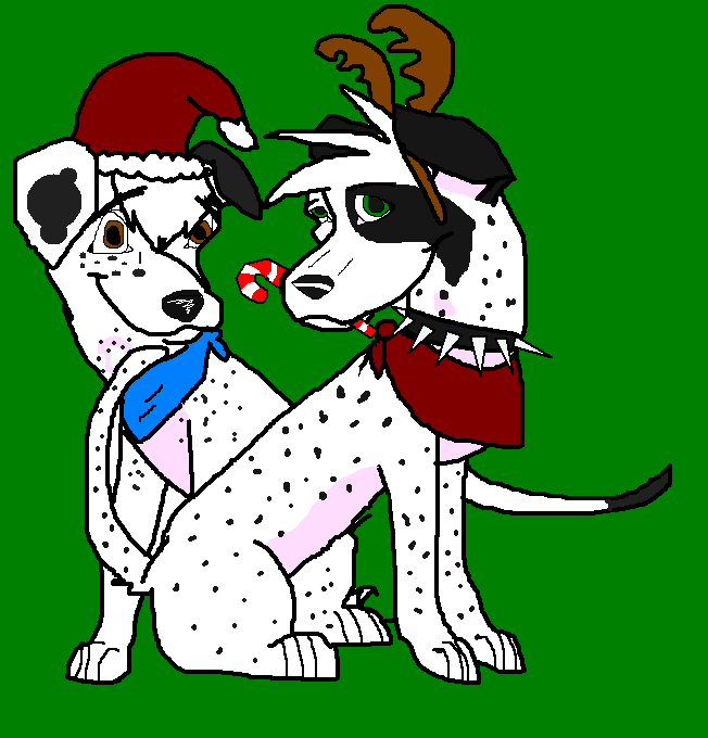 Dalmations