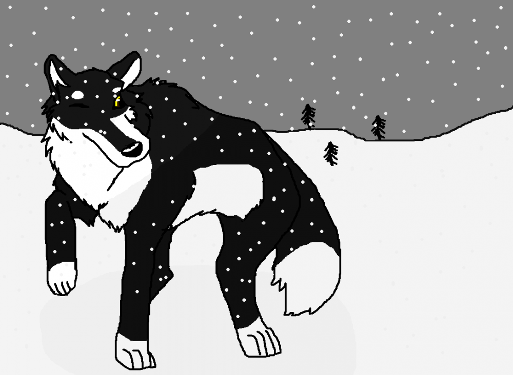 Winter Wonderland
