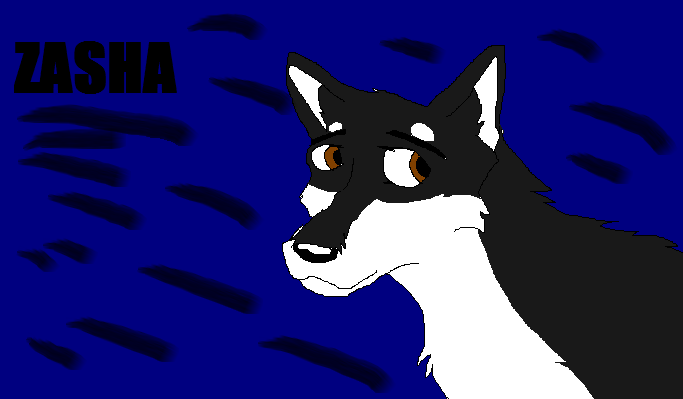 ZASHA