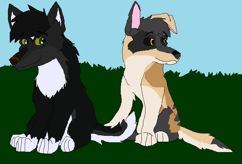 Two Pups