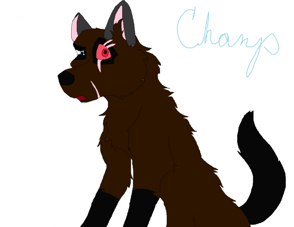 Champ Hasn't been noticed in a long time