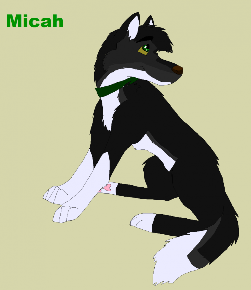 Yay Micah!