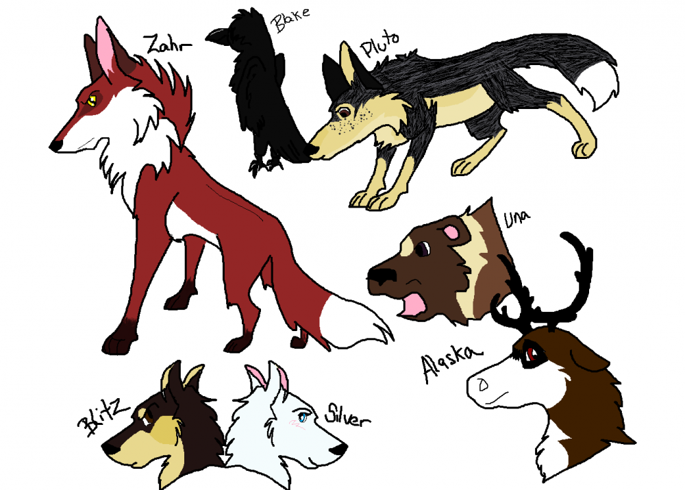 Teh Pack