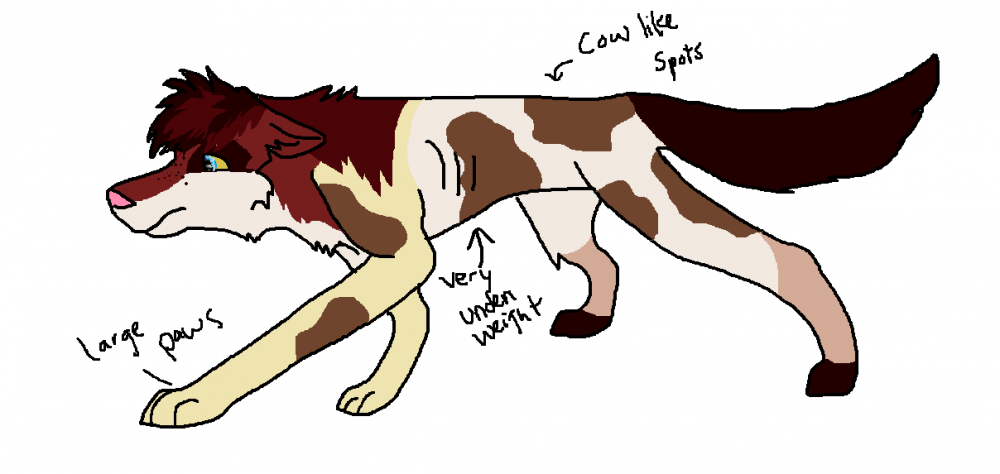 Reff sheet....Sorta