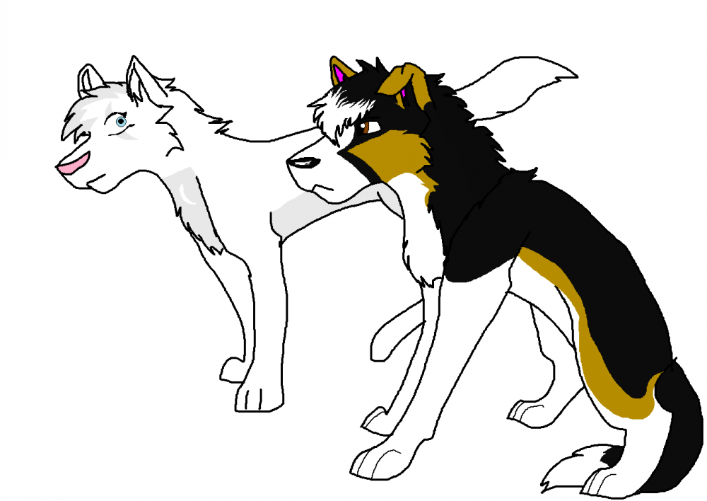 Griffin's new design