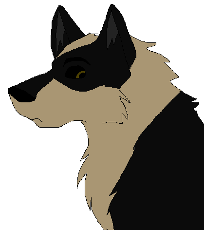 Shadow