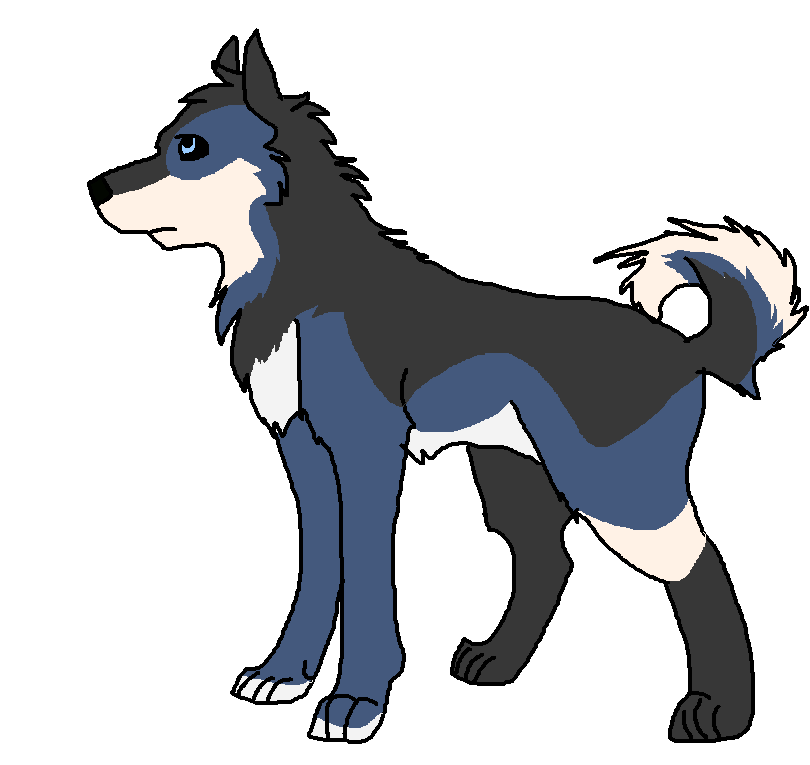 Older Aviatar