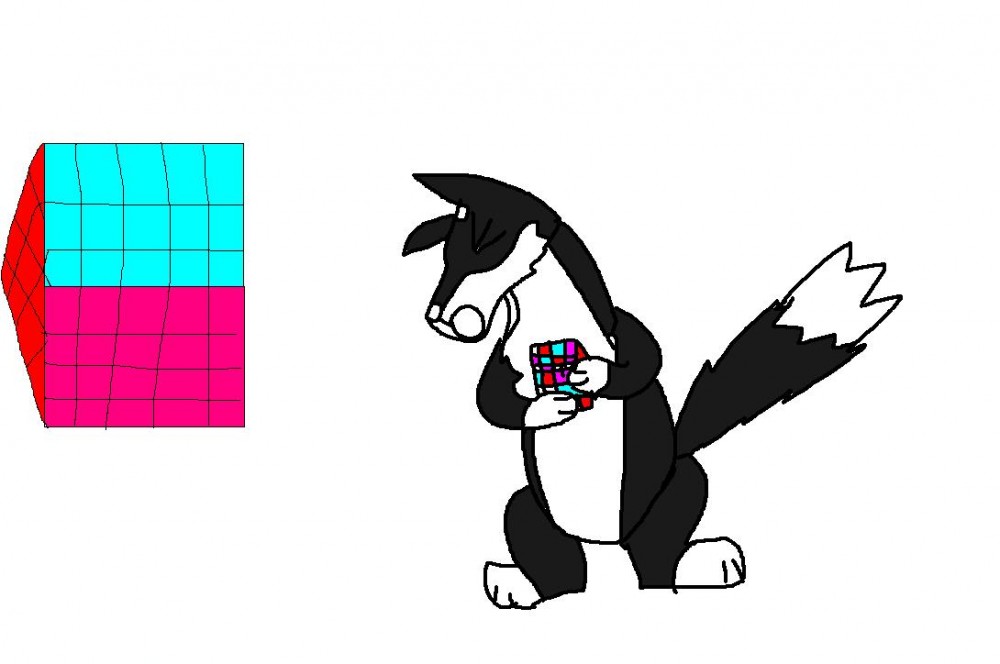 Rubix cube