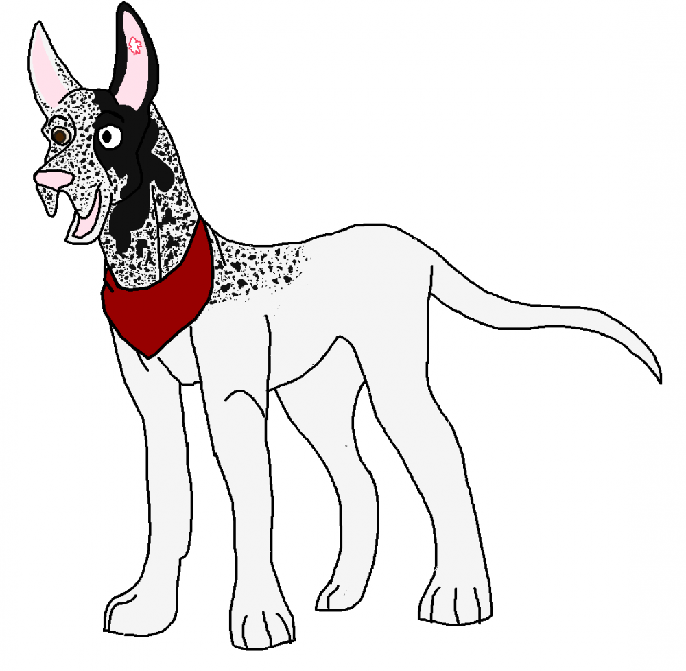 New Design