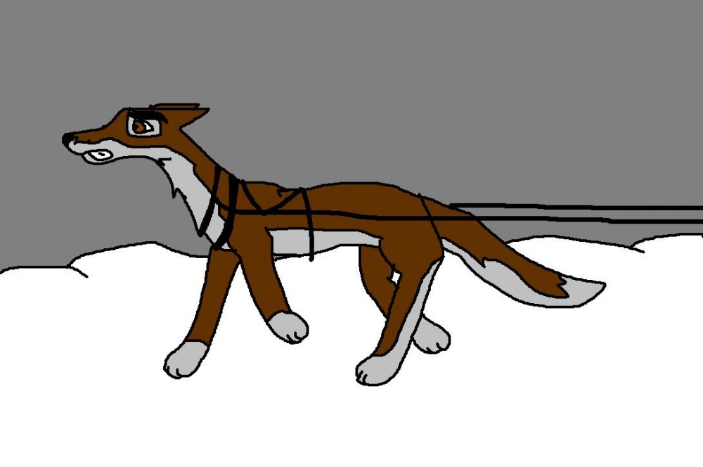 Balto