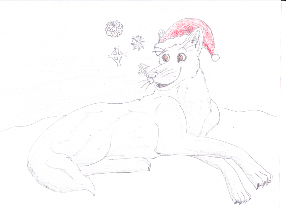 On the fith day of Christmas....