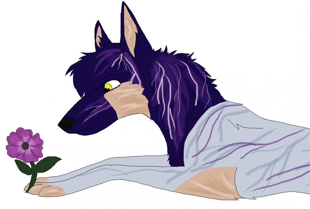 Violet Hour