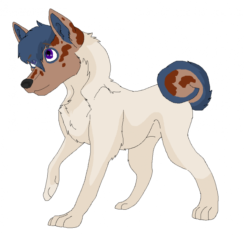 Fan Pup